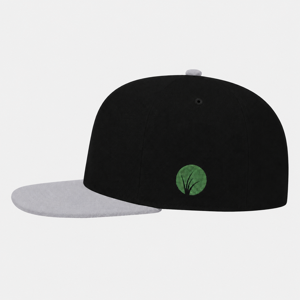 Gorra plana - negra